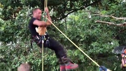 Pepsi the cat rescued from tree in Billingshurst