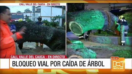 Bloqueo en carretera de Cali por la caída de un árbol