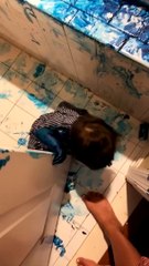 Troublesome Toddlers Make a Mess with Paint