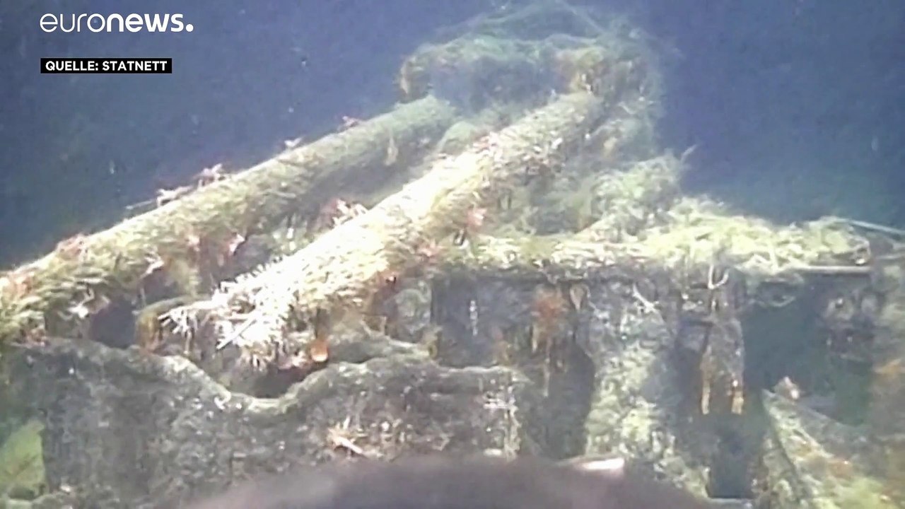 Zufallsfund in 500 Metern Tiefe: Nazi-Kriegsschiff vor Norwegen entdeckt
