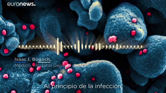 ¿Cómo funcionan las pruebas de la COVID-19 y cómo puedes conseguir una?