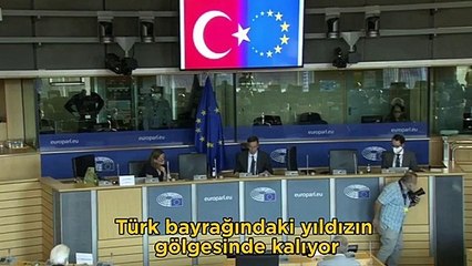 Avrupa Parlamentosu'nda Türk bayrağı hazımsızlığı!