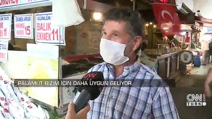 Son Dakika! Balık fiyatları yüzleri güldürdü | Video