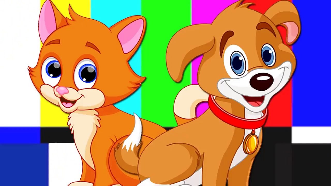 05  RECOPILACION DE PERROS Y GATOS GRACIOSOS