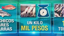 Por subienda en el río Lebrija, en el sur de Bolívar, kilo de bagre se consigue a mil pesos