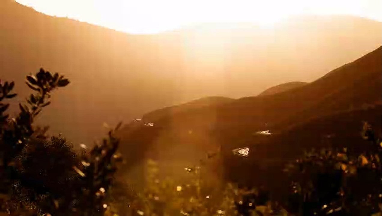 Relaxe, descanse sua Mente !!