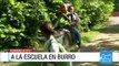 Niños recorren 20 kilómetros a lomo de burro para ir a la escuela en Gamarra (Cesar)