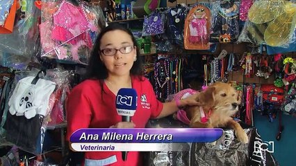 Flip, la mascota de Muy Buenos Días, escoge su disfraz de Halloween