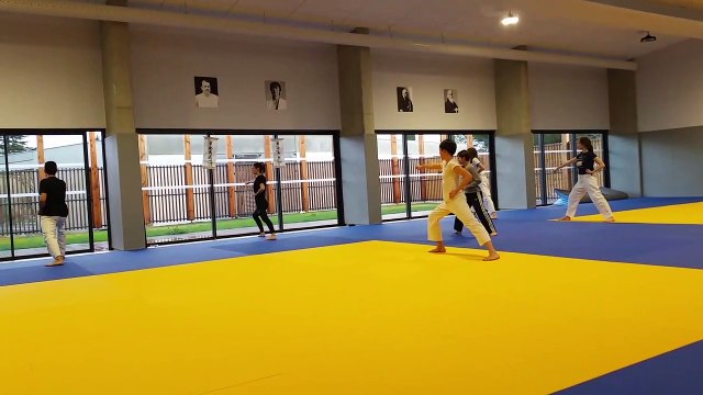 Karaté Défense - Découverte du Kata Taikyoku shodan (2019-2020)