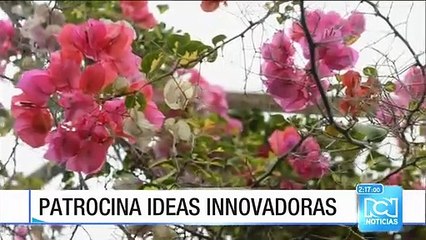 Abiertas las inscripciones para participar en el Eco-reto 2016