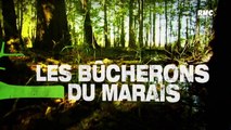 LES BÛCHERONS DU MARAIS - LE BOIS DANS LA PEAU