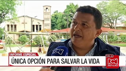Al menos 14 personas fueron mordidas de gravedad por serpientes en Vaupés