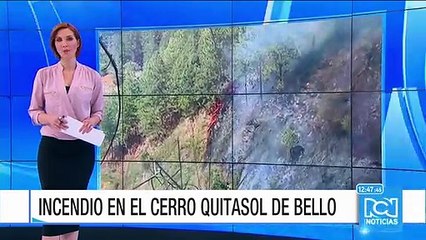 Tải video: Altas temperaturas en el país han provocado incendios forestales en varias regiones