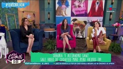 ¿Romance entre Shakira y Alejandro Sanz?