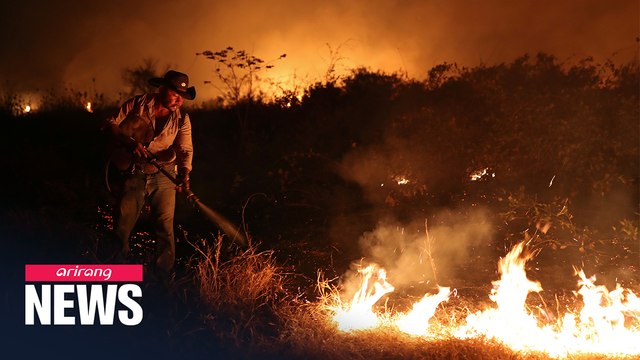 Brazil’s Pantanal consumed by flames, threatening biodiversity