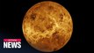 Astronomers detects possible sign of life on inhospitable Venus
