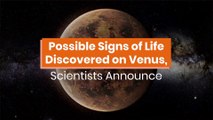 Venus Might Have Life