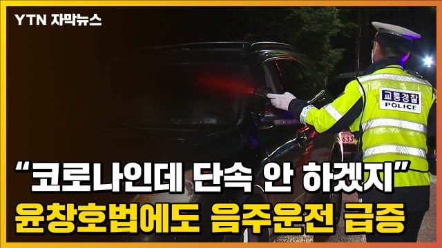 [자막뉴스] 코로나인데 단속 안 하겠지 윤창호법 시행에도 음주 운전 급증 / YTN