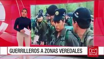 Al menos 200 guerrilleros llegaron a zona de concentración en Fonseca, La Guajira