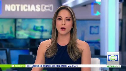 Polémica en Rusia por oso que apareció durante un partido de fútbol