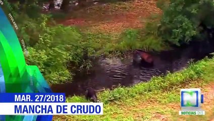Disidencias de las Farc volaron dos torres de energía en Tumaco