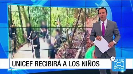 Download Video: Ministro del Interior explicó por qué menores reclutados por las Farc serán entregados a la Unicef