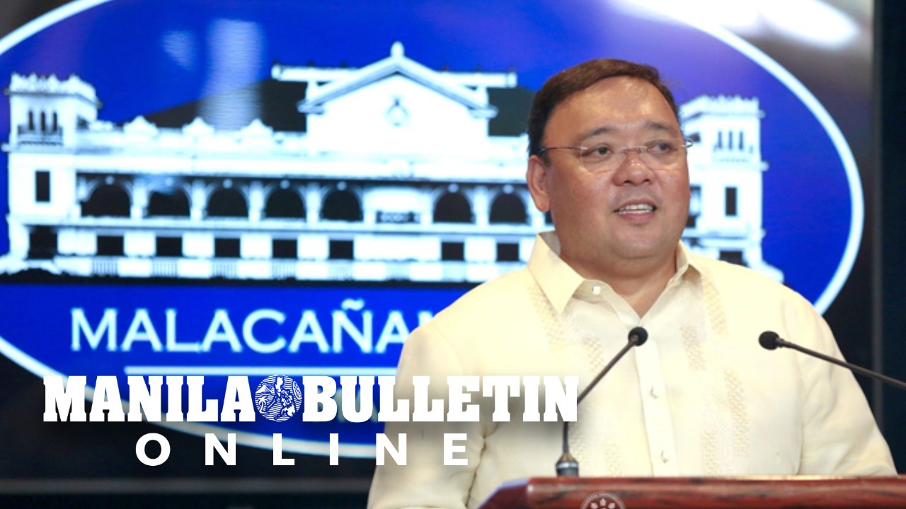 President not likely to issue executive order on liberalizing satellite access – Roque