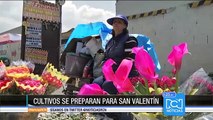 En San Valentín, precio de las flores subirá considerablemente por sequía y heladas