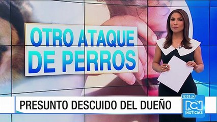 Tres niños fueron mordidos por un pitbull en Antioquia