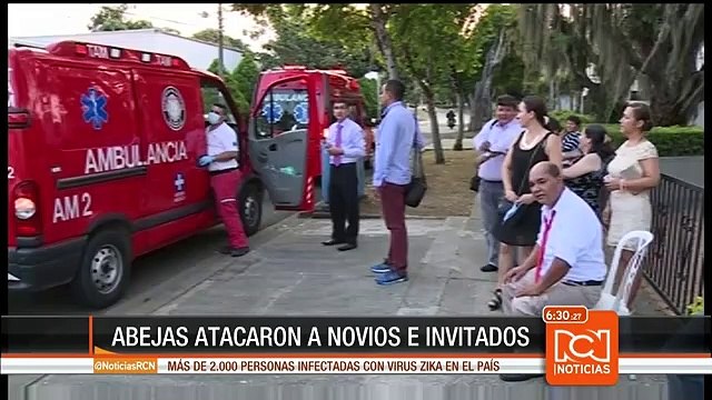 Asistentes a un matrimonio fueron atacados por un enjambre de abejas en Cali