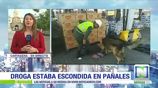 Incautan en Cartagena más de 100 kilos de cocaína camuflada en pañales