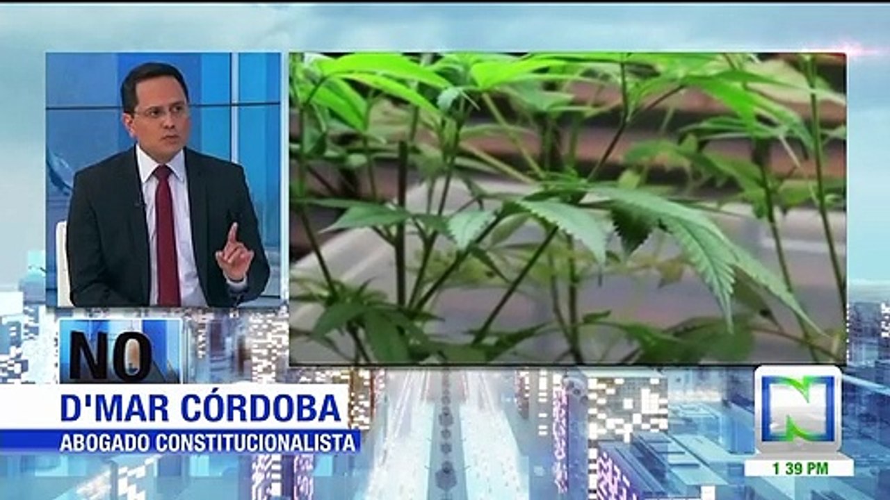 ¿Usted sería partidario de que en Colombia se aprobara el uso recreativo de la marihuana?