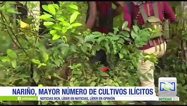 El frente Oliver Sinisterra, La gente del orden y otros grupos ilegales que operan en Nariño