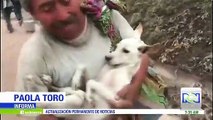 Hombre rescató a su perro después de la erupción del volcán de Fuego en Guatemala