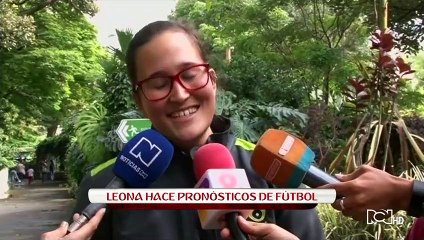 Valentina, la leona que hace pronósticos de los partidos del mundial