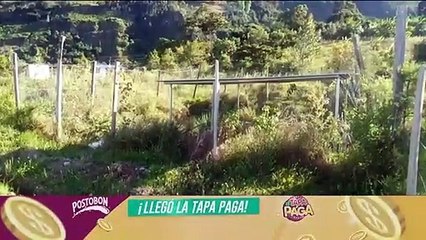 Reporta un importante hallazgo arqueológico en Colombia, Huila