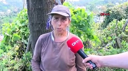 Ev ve ağaçlara dadanan tırtıllar, çiftçinin kabusu oldu