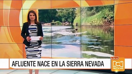 Emergencia ambiental en el río Cesar y en la Ciénaga Grande de Santa Marta