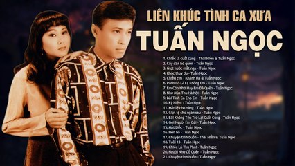 CHIẾC LÁ CUỐI CÙNG, CÂY ĐÀN BỎ QUÊN - Tuấn Ngọc Chọn Lọc - Dòng Nhạc Tình Ca Phòng Trà Sang Trọng