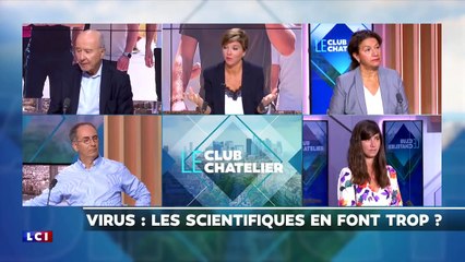 Laurent Toubiana  La théorie de la 2ème vague est complètement folle fabulatrice! (2)