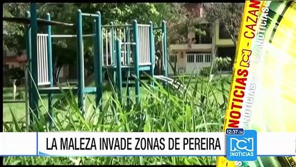 Vegetación en Pereira se está comiendo las señales de tránsito