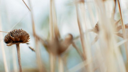 The Museum Hotel ANTAKYA