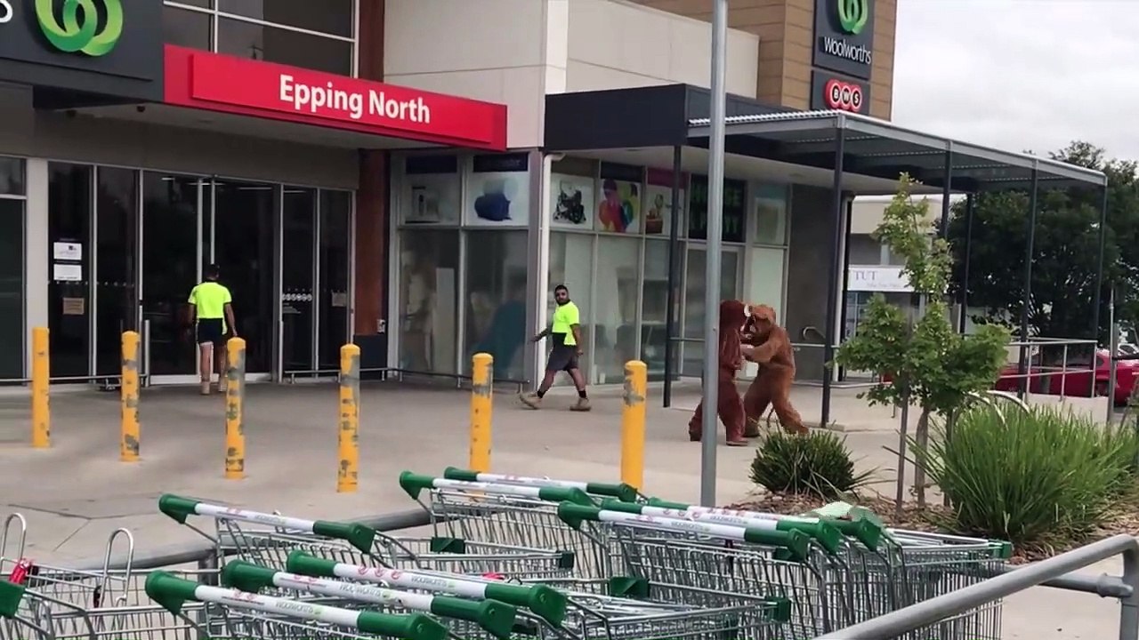 ABUSIVE BEAR PRANK