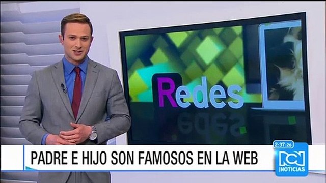 ¿Terror a las abejas? Estos insectos también son capaces de desclavar puntillas