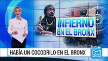 Un cocodrilo hacía parte de los castigos del Bronx, según denuncian los habitantes del lugar
