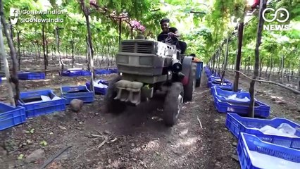 देश में बंपर फ़सल उगाने वाले किसान आत्महत्या के लिए क्यूँ मजबूर?