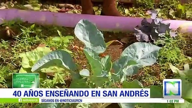 Los ingeniosos métodos de enseñanza de la profesora Carmen en un colegio de San Andrés