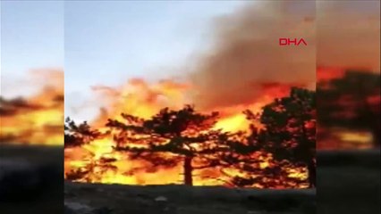 Yunanistan’da kalacak yeri olmayan mültecilerin isyanda