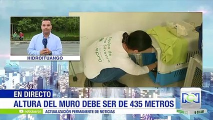 Hidroituango: los animales también han sufrido por cuenta de la emergencia