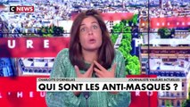 Laurent Alexandre se ridiculise sur CNews en s'en prenant à Raoult et en justifiant la «2ème vague»